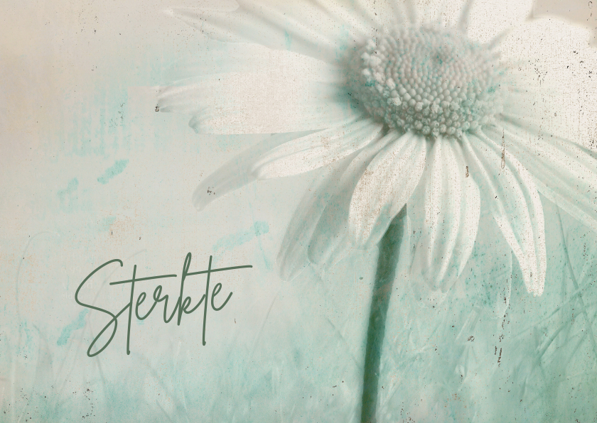 Sterktekaart vintage filter margrietje - Sterkte kaarten Sterkte kaarten - Sterktekaart vintage filter margrietje