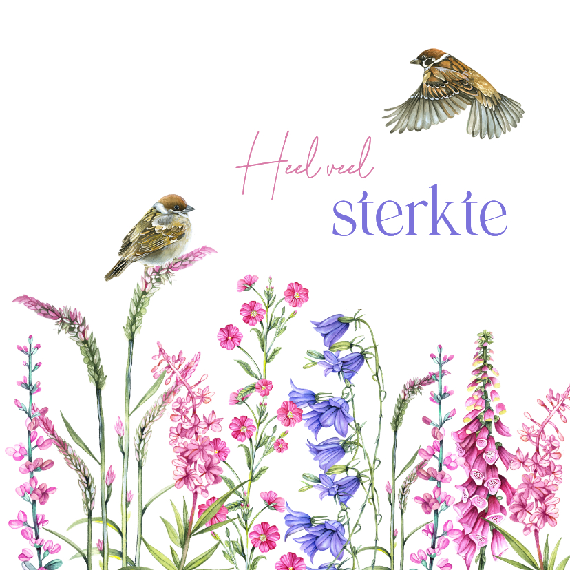 Sterkte kaarten - Sterktekaart vogeltjes bloemen