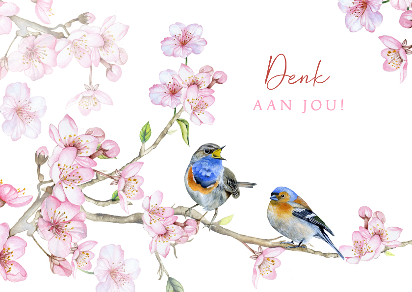 Sterkte kaarten - Sterktekaart vogeltjes voorjaar