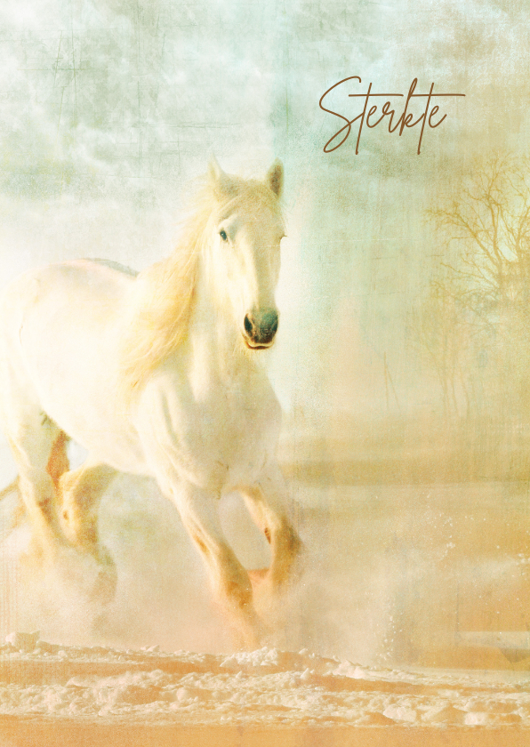 Sterkte kaarten - Sterktekaart wit paard mist
