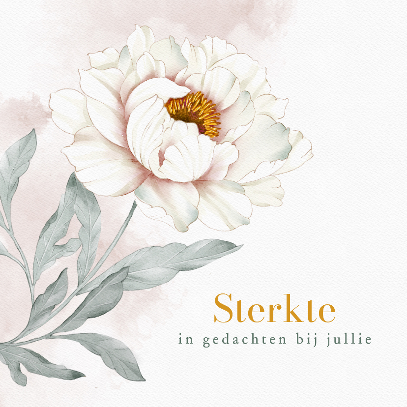 Sterkte kaarten - Sterktekaart witte pioenroos