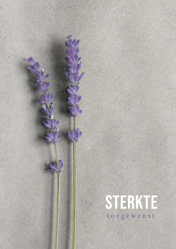 Sterkte kaarten - Stijlvolle moderne sterktekaart met lavendel takjes