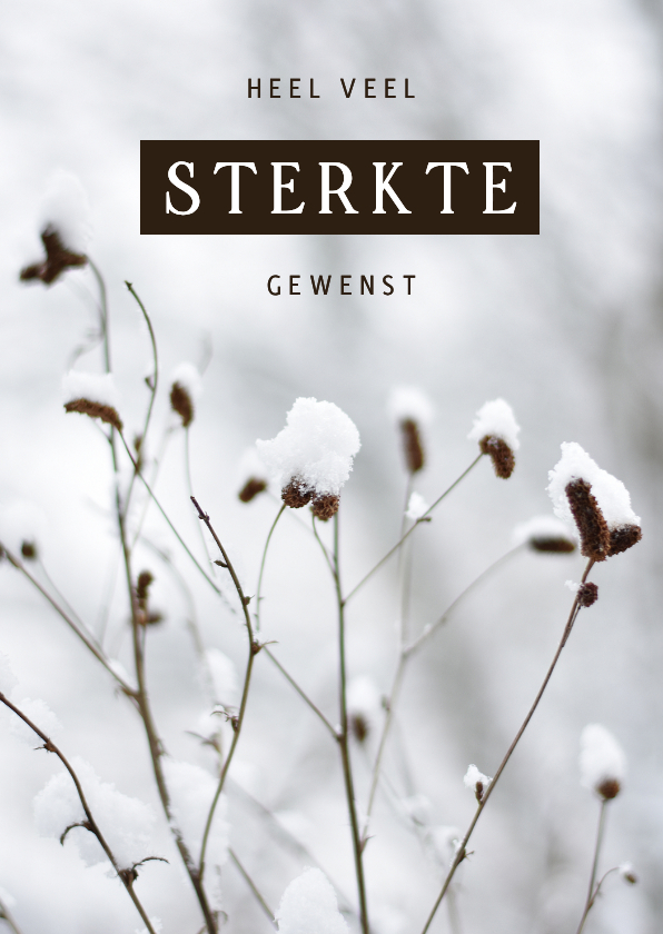 Stijlvolle sterkte kaart winter met besneeuwde plantjes - Sterkte kaarten Sterkte kaarten - Stijlvolle sterkte kaart winter met besneeuwde plantjes