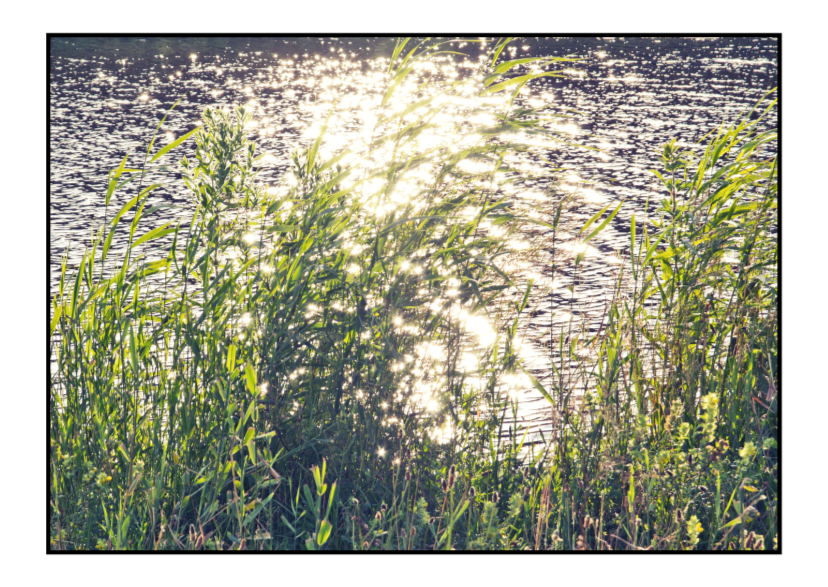 The sound of silence - Sterkte kaarten Sterkte kaarten - The sound of silence