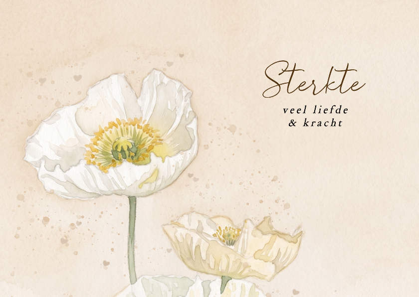 Sterkte kaarten - Waterverf sterktekaartje met witte klaprozen beige