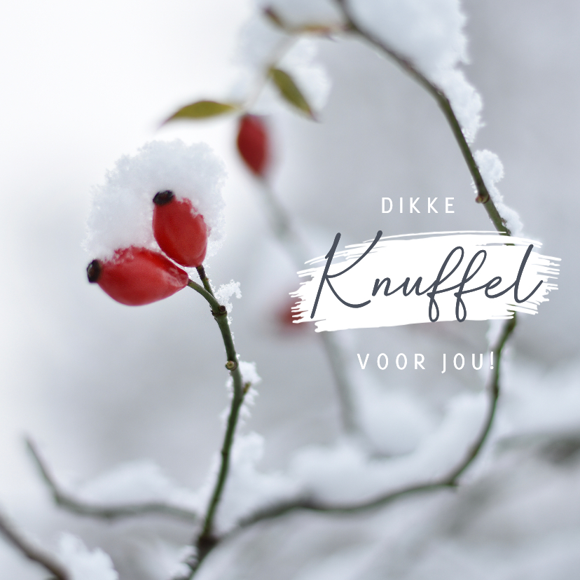 Sterkte kaarten -  Winterse sterkte kaart met natuurfoto rozenbottel