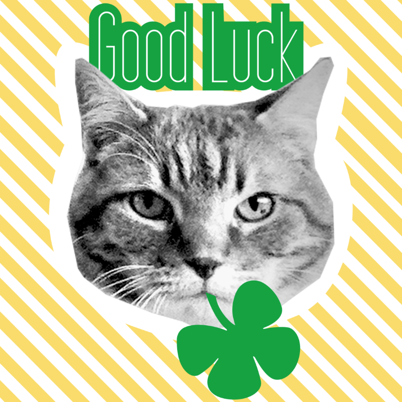 Brandal Good Luck - Succes kaarten Succes kaarten - Brandal Good Luck