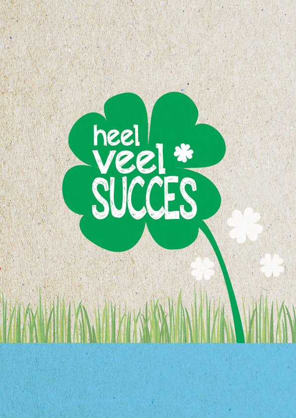 heel veel succes -BF - Succes kaarten Succes kaarten - heel veel succes -BF