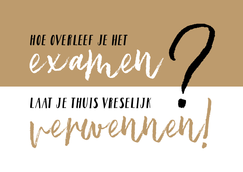 hoe overleef je het examen - Succes kaarten Succes kaarten - hoe overleef je het examen