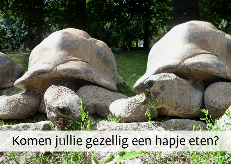 Gezellig hapje - Uitnodigingen Uitnodigingen - Gezellig hapje