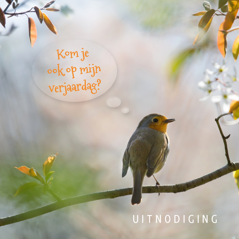 Uitnodigingen - Uitnodiging verjaardag met roodborst