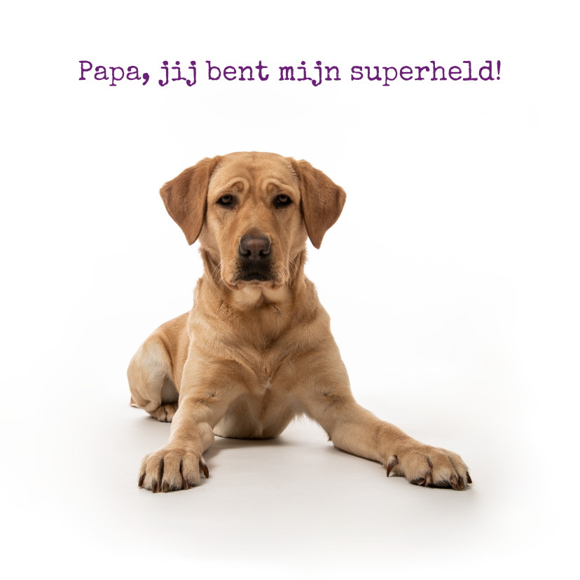 Vaderdag kaarten - KNGF Geleidehond vaderdagkaart jij bent mijn superheld