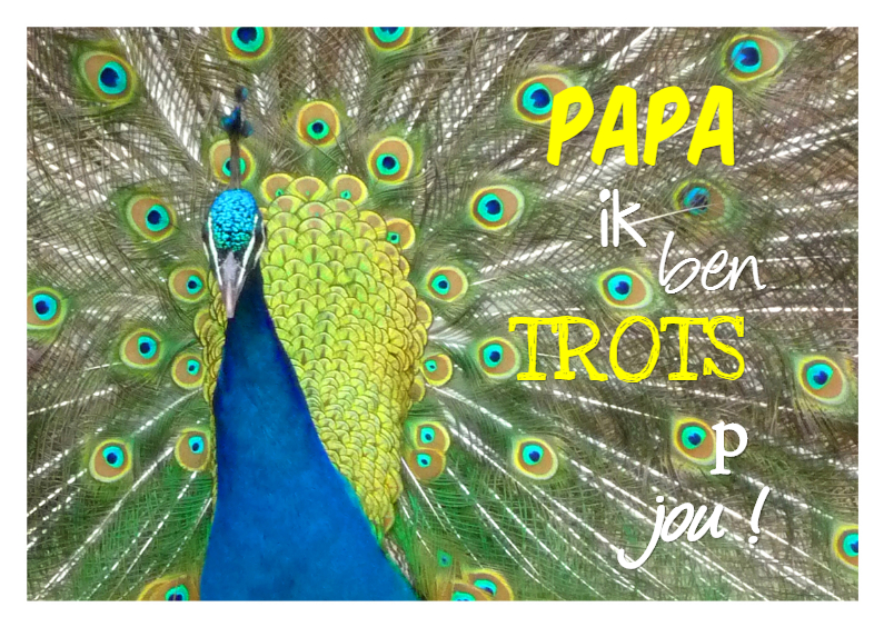 Trots op Papa - Vaderdag kaarten Vaderdag kaarten - Trots op Papa
