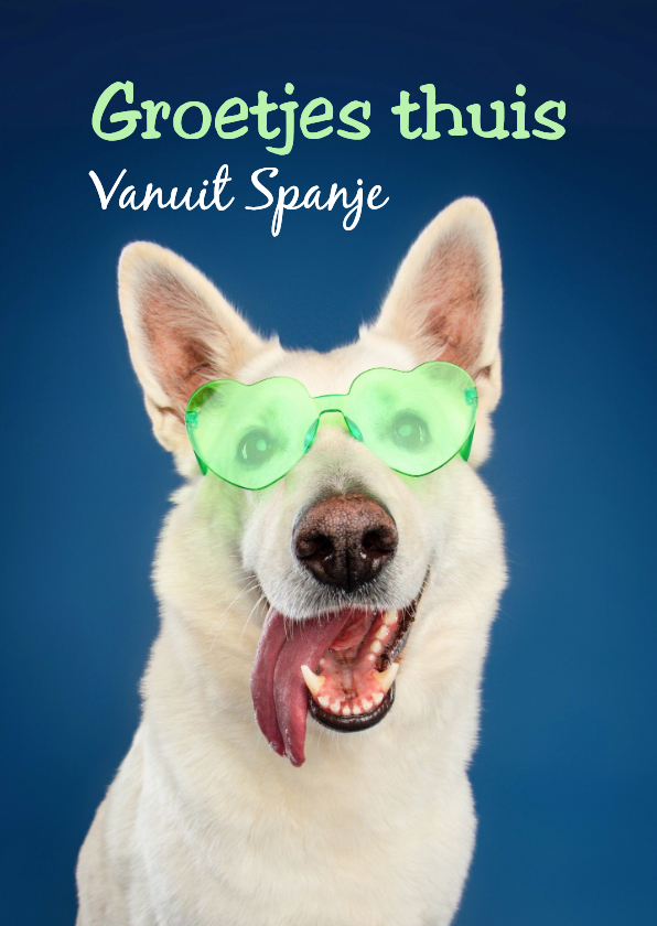 Grappige vrolijke vakantiekaart van hond met zonnebril - Vakantiekaarten Vakantiekaarten - Grappige vrolijke vakantiekaart van hond met zonnebril