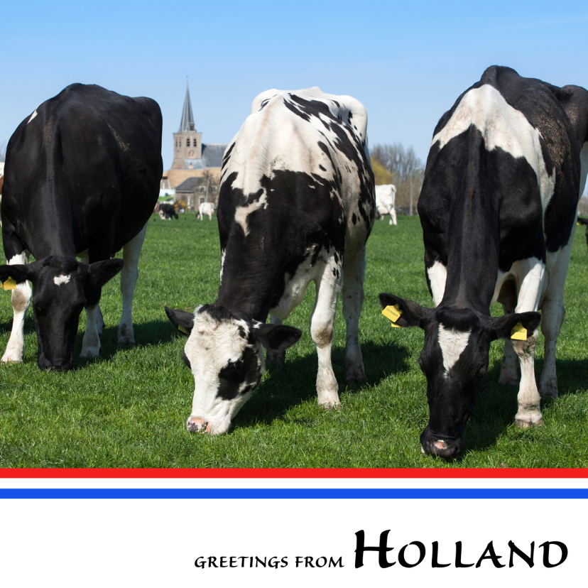 Greetings from Holland VIII - Vakantiekaarten Vakantiekaarten - Greetings from Holland VIII