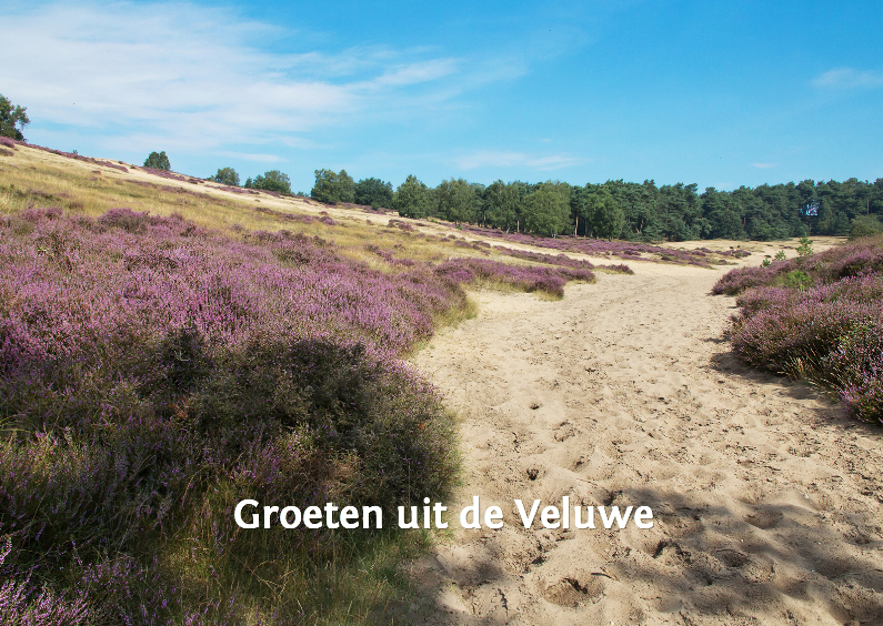 Groeten uit de Veluwe - Vakantiekaarten Vakantiekaarten - Groeten uit de Veluwe