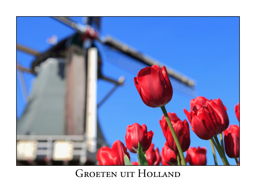 Groeten uit Holland L - Vakantiekaarten Vakantiekaarten - Groeten uit Holland L