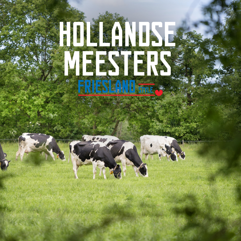 Vakantiekaarten - Hollandse Meesters Friesland Style