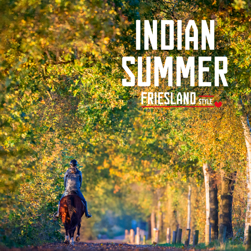 Vakantiekaarten - Indian Summer Friesland Style