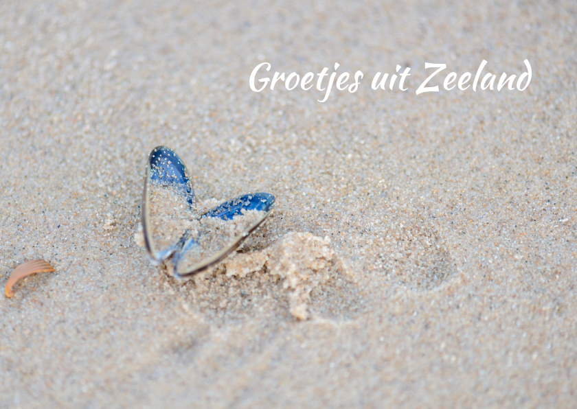 Mossel op het strand - Vakantiekaarten Vakantiekaarten - Mossel op het strand