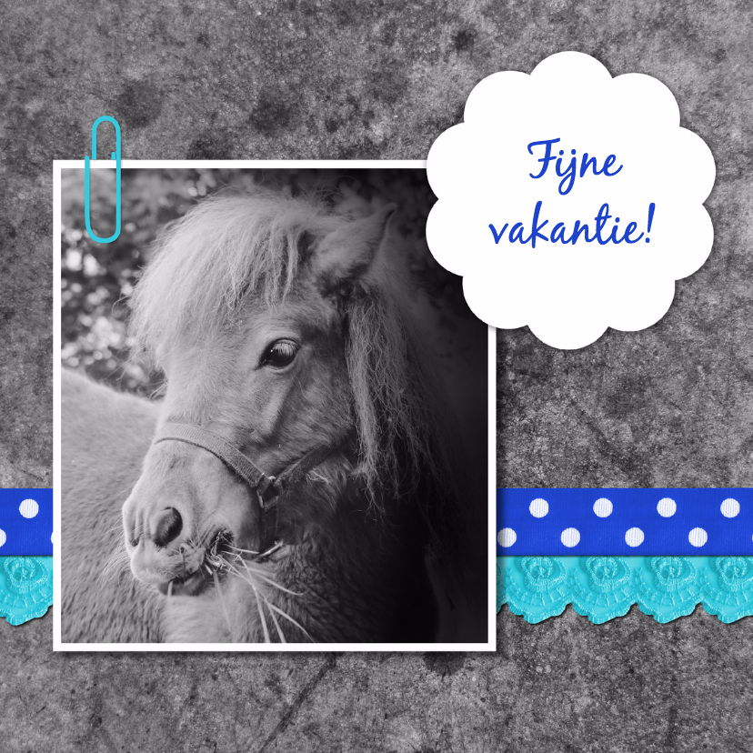 Paard met linten - DH - Vakantiekaarten Vakantiekaarten - Paard met linten - DH