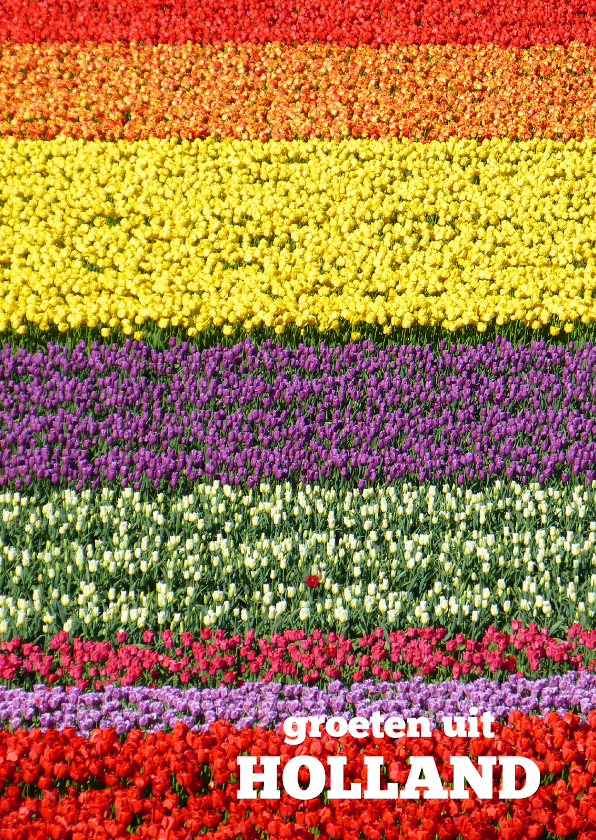 Tulpen kleurenpalet - bloemenkaart - Vakantiekaarten Vakantiekaarten - Tulpen kleurenpalet - bloemenkaart