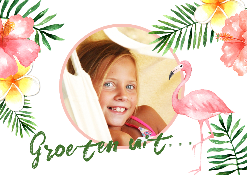 Vakantiekaart Flamingo- WW - Vakantiekaarten Vakantiekaarten - Vakantiekaart Flamingo- WW