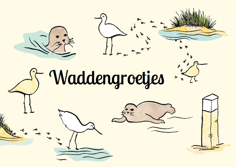 Vakantiekaarten - Waddengroet zeehonden en vogels