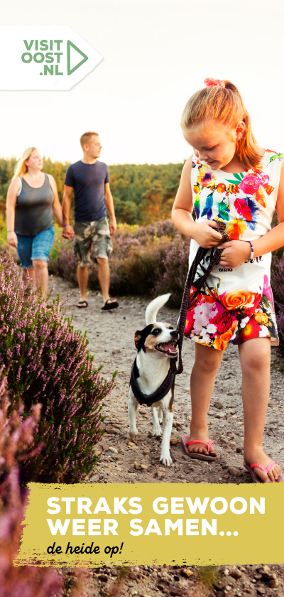 Weer samen de Overijsselse natuur in langwerpig - Vakantiekaarten Vakantiekaarten - Weer samen de Overijsselse natuur in langwerpig