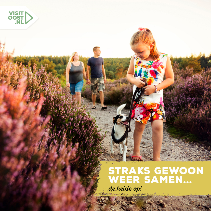 Weer samen de Overijsselse natuur in vierkant - Vakantiekaarten Vakantiekaarten - Weer samen de Overijsselse natuur in vierkant