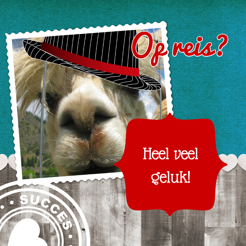 Wereldreis veel geluk - Vakantiekaarten Vakantiekaarten - Wereldreis veel geluk