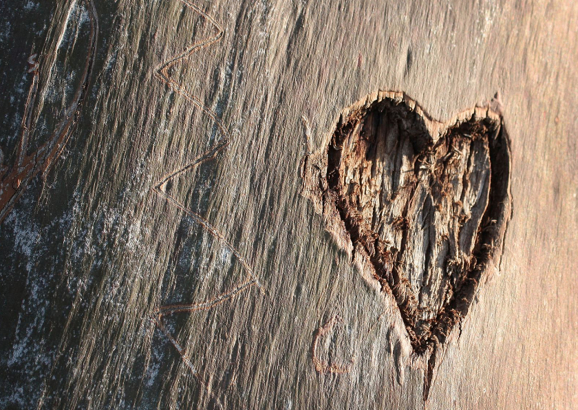 Hart boom - Valentijnskaarten Valentijnskaarten - Hart boom