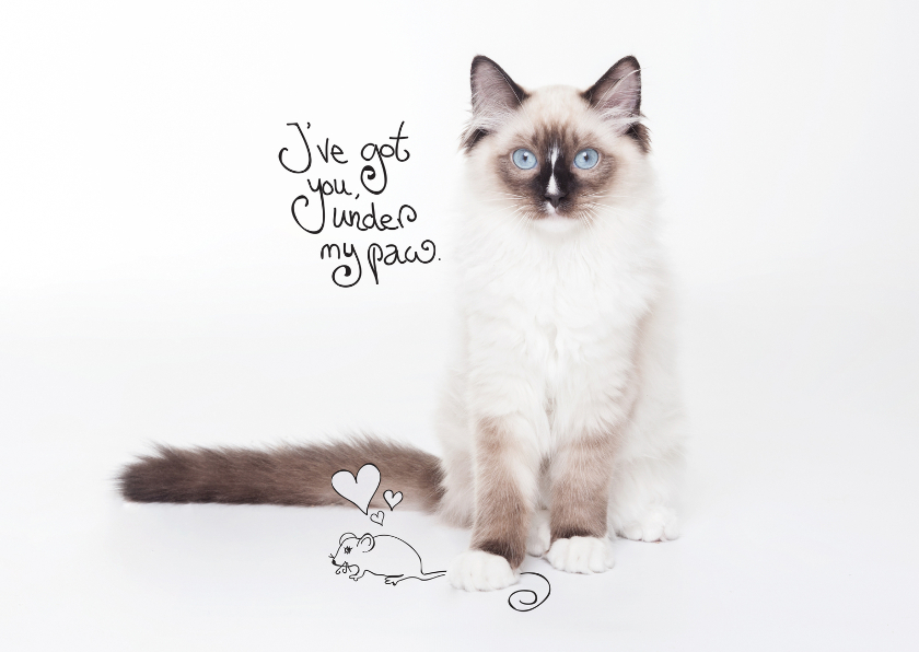Kat-en-muisspel. - Valentijnskaarten Valentijnskaarten - Kat-en-muisspel.