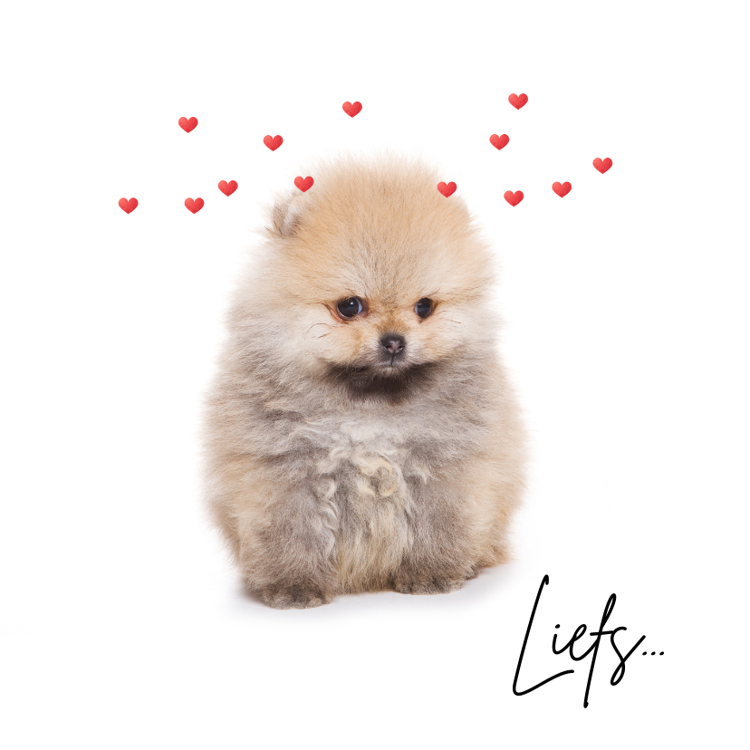Valentijnskaarten - Lieve valentijnskaart met puppy