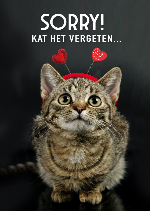 Valentijnskaarten - Te laat valentijnskaartje met poes - Sorry, kat het vergeten