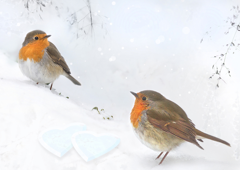 Valentijnskaarten - Valentijn in de sneeuw