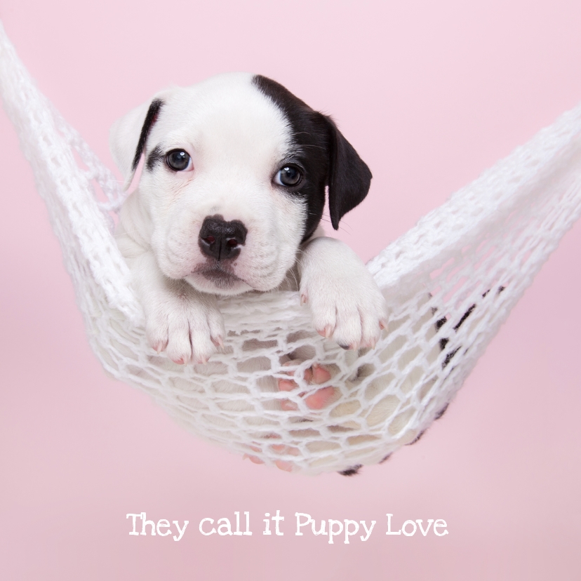 Valentijnskaarten - Valentijn - Puppy Love - Hond hangmat roze