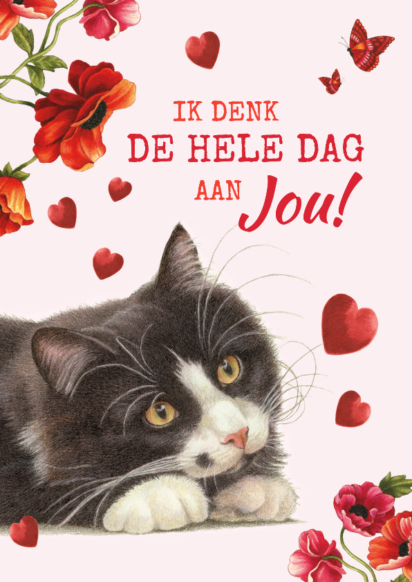 Valentijnskaarten - valentijnskaart met kat ik denk de hele dag aan jou
