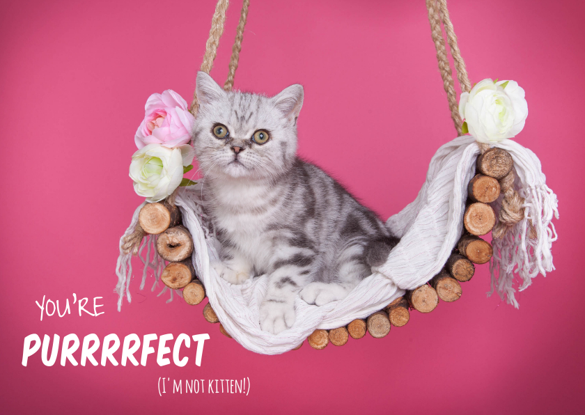 Valentijnskaarten - Valentijnskaart - You're purrrfect - Kitten roze