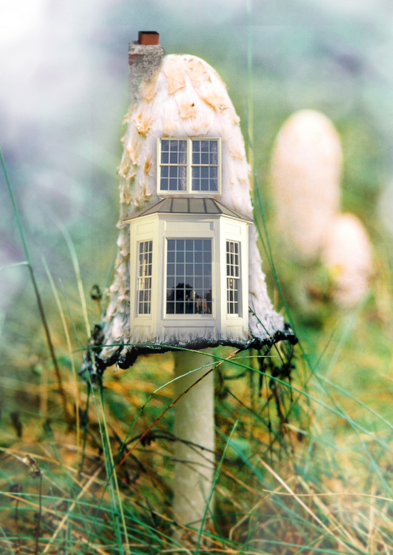 Een nieuw huisje paddestoel 2 - Verhuiskaarten Verhuiskaarten - Een nieuw huisje paddestoel 2