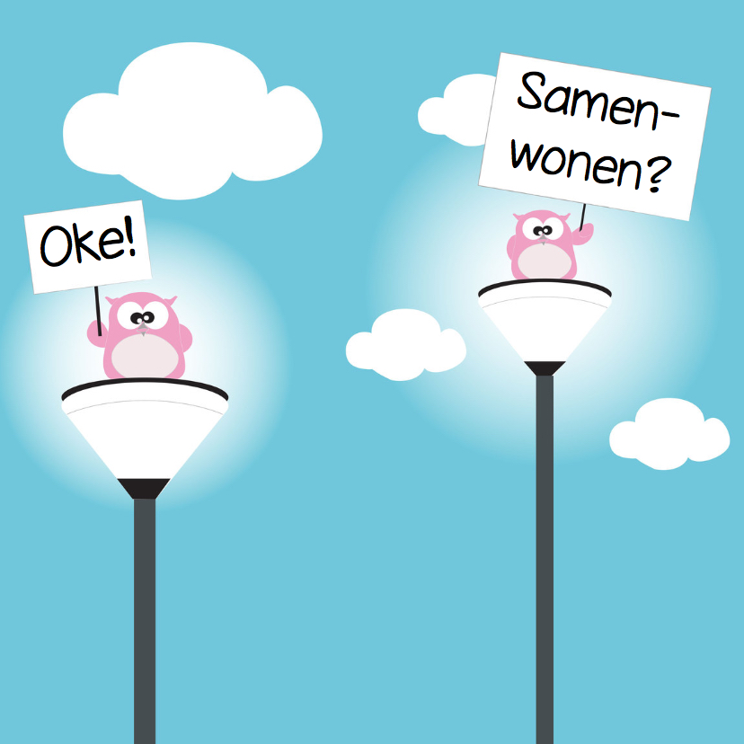 Samenwonenkaart met leuk uilen stel van Mo Cards - Verhuiskaarten Verhuiskaarten - Samenwonenkaart met leuk uilen stel van Mo Cards