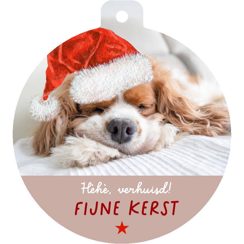Verhuiskaart hondje met kerstmuts - Verhuiskaarten Verhuiskaarten - Verhuiskaart hondje met kerstmuts