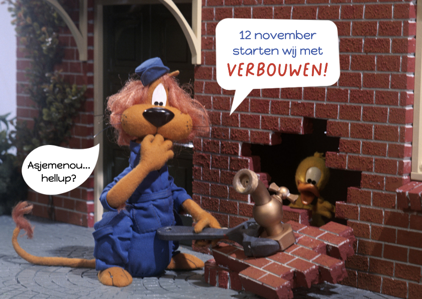 Verhuiskaart Loeki de Leeuw gaat verbouwen - Verhuiskaarten Verhuiskaarten - Verhuiskaart Loeki de Leeuw gaat verbouwen