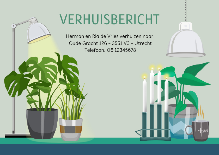 Verhuiskaart met planten lampen vensterbank - Verhuiskaarten Verhuiskaarten - Verhuiskaart met planten lampen vensterbank