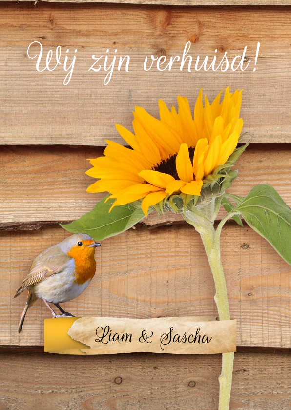 Verhuiskaart roodborstje en zonnebloem - Verhuiskaarten Verhuiskaarten - Verhuiskaart roodborstje en zonnebloem