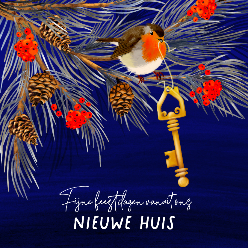 Verhuis(kerst)kaart roodborstje en gouden sleutel - Verhuiskaarten Verhuiskaarten - Verhuis(kerst)kaart roodborstje en gouden sleutel