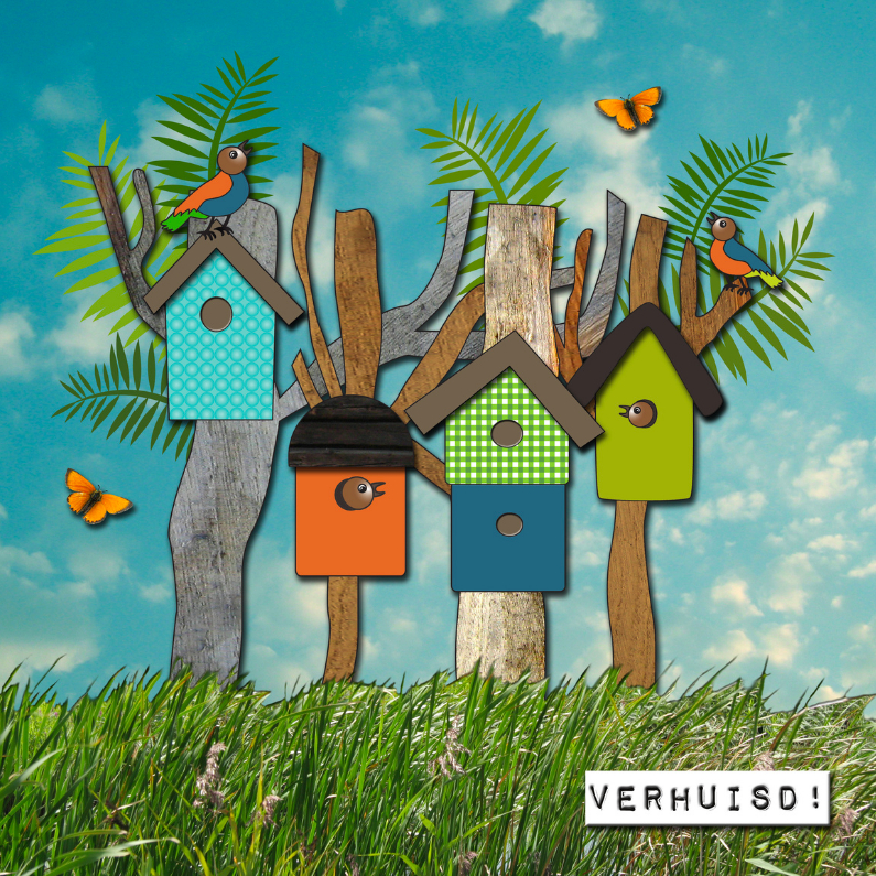 Vogelhuisjes verhuiskaart - Verhuiskaarten Verhuiskaarten - Vogelhuisjes verhuiskaart