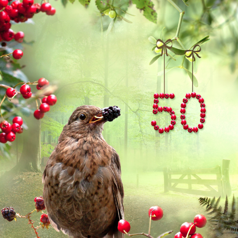 50 jaar in bessenmotief - Verjaardagskaarten Verjaardagskaarten - 50 jaar in bessenmotief