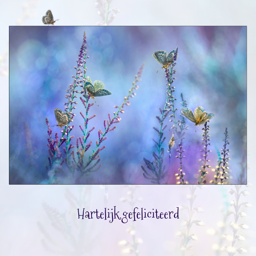 Verjaardagskaarten - Blauwe vlinder-fantasie