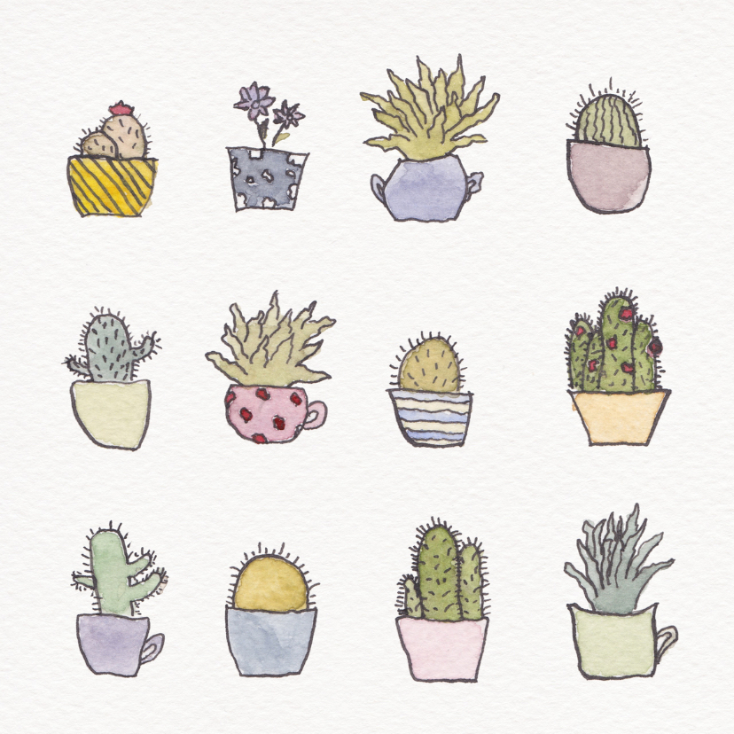 Cactus en vetplant - Verjaardagskaarten Verjaardagskaarten - Cactus en vetplant